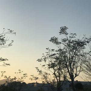 大雞巴麻麻亂倫
